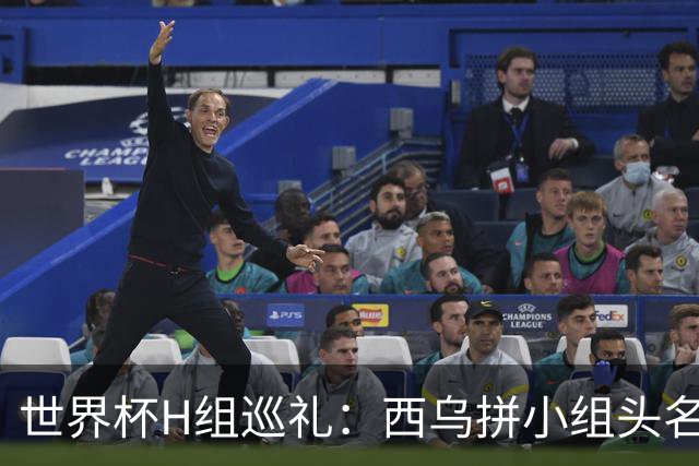 世界杯H组巡礼：西乌拼小组头名 沙特成X因素