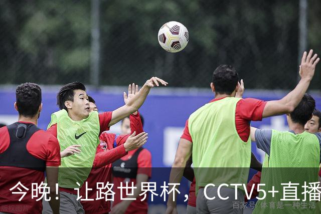今晚！让路世界杯，CCTV5+直播中国女排VS法国，小将领衔冲击5连胜