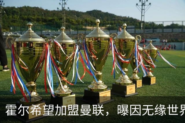 霍尔希望加盟曼联，曝因无缘世界杯与纽卡闹翻！转会费至少5000万